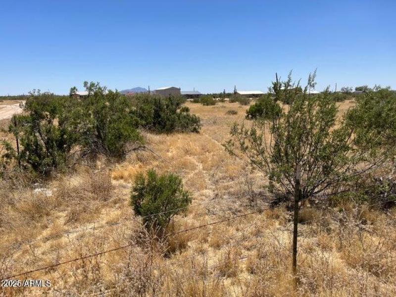 Looking onto Back 5 Acres