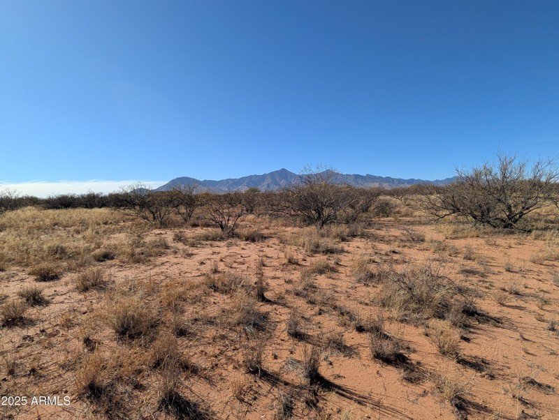 Arizona Views