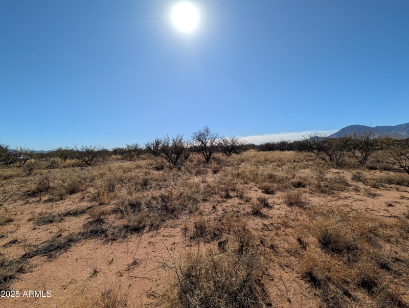 Arizona Sunshine