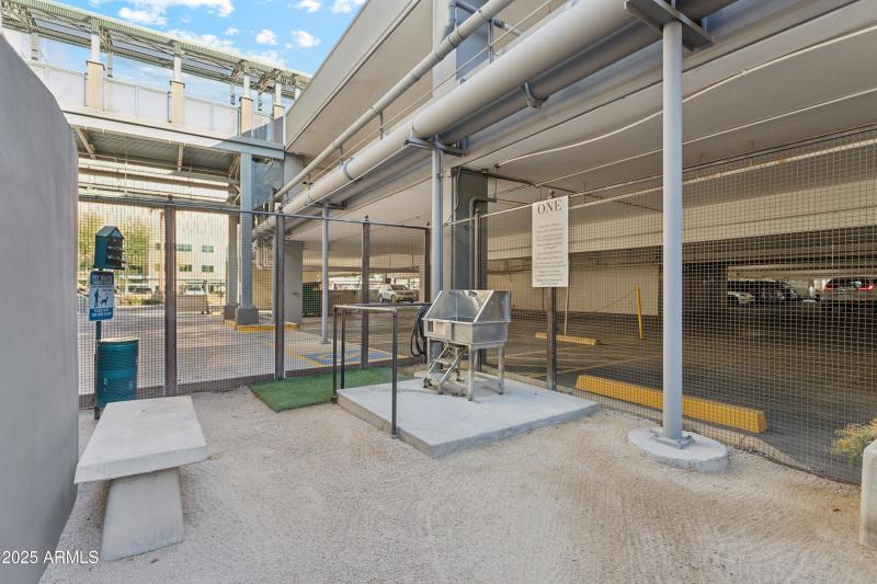 Outdoor Dog Washing Station