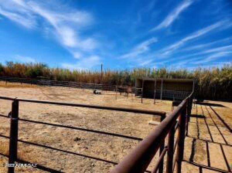 Pasture & Cvd. shade.