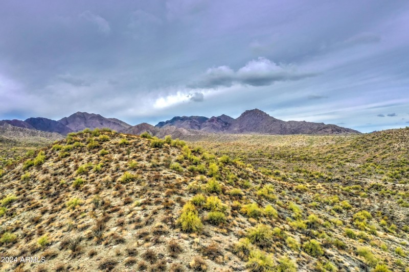 DJI_0544