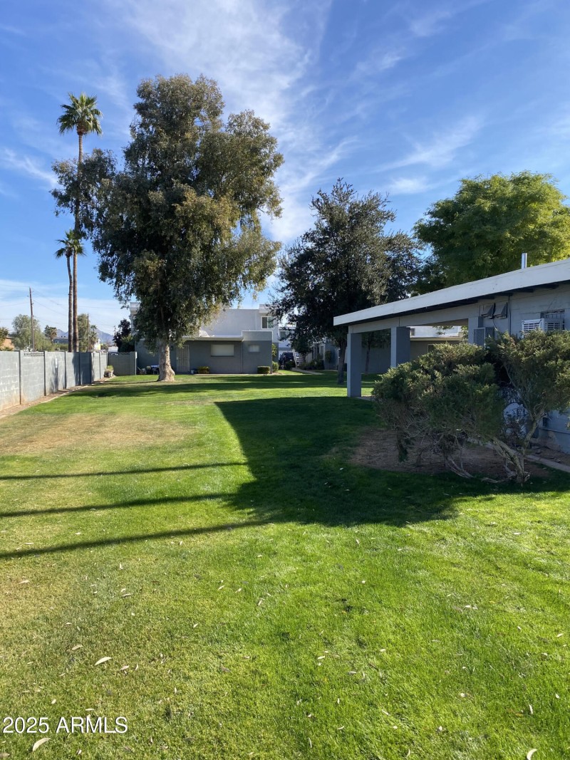 Ocotillo - Front yard