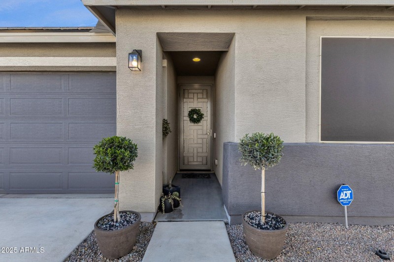 Custom Security Door