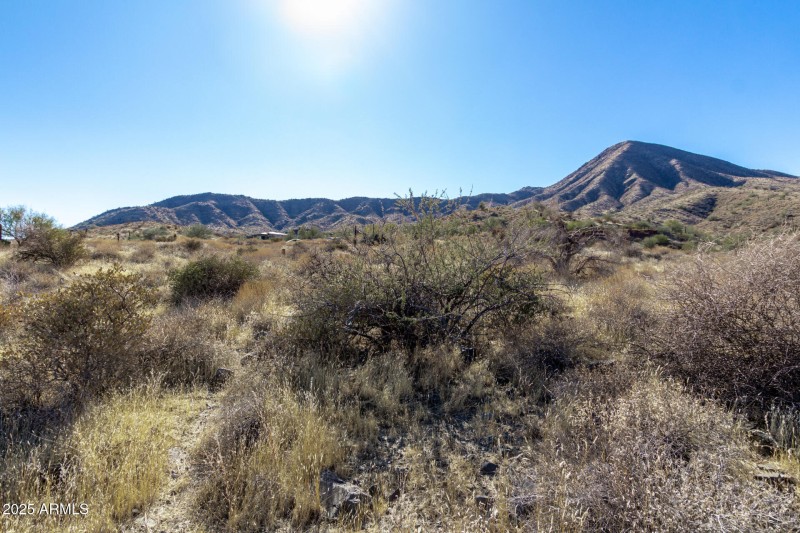 07 - Big Horn 14048
