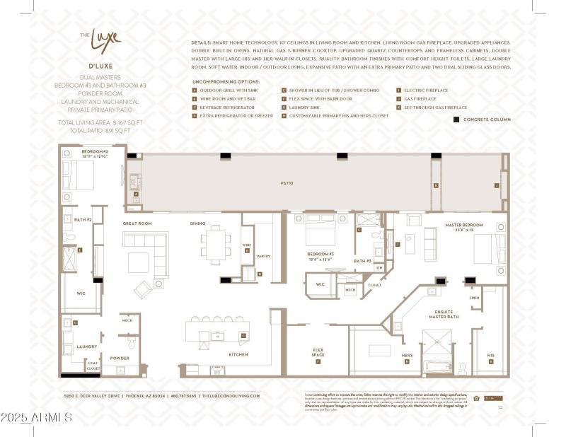D'Luxe Marketing Plan