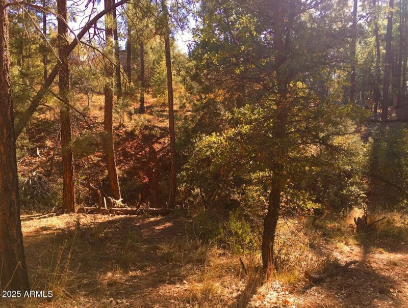 Subject Property