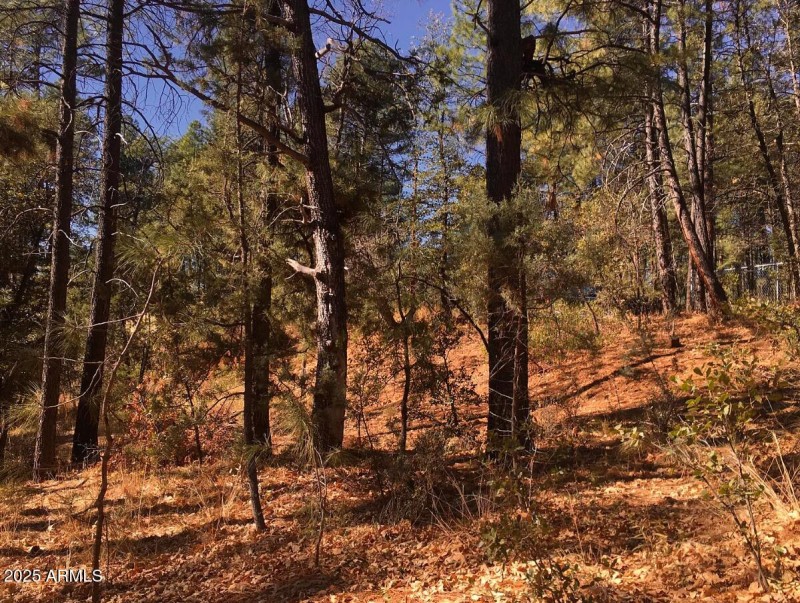 Subject Property