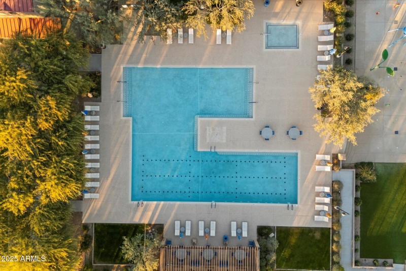 Sonoran Foothills Pool