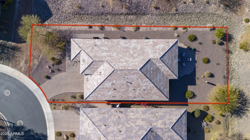 4610 Cactus Wren00002