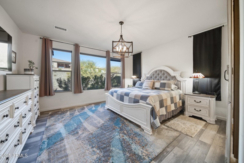 4610 Cactus Wren00012