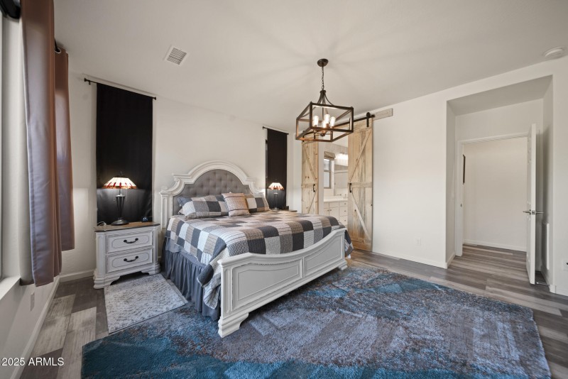 4610 Cactus Wren00013