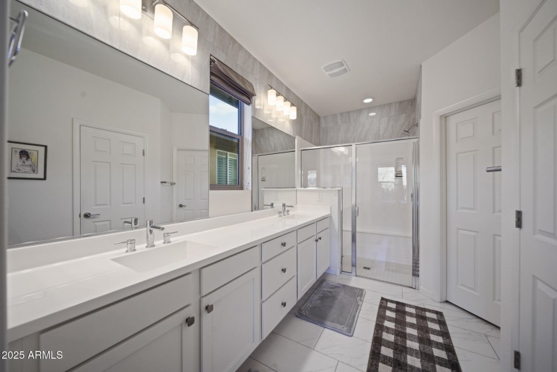 4610 Cactus Wren00015