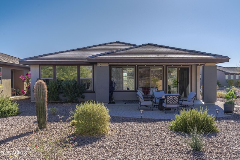 4610 Cactus Wren00030