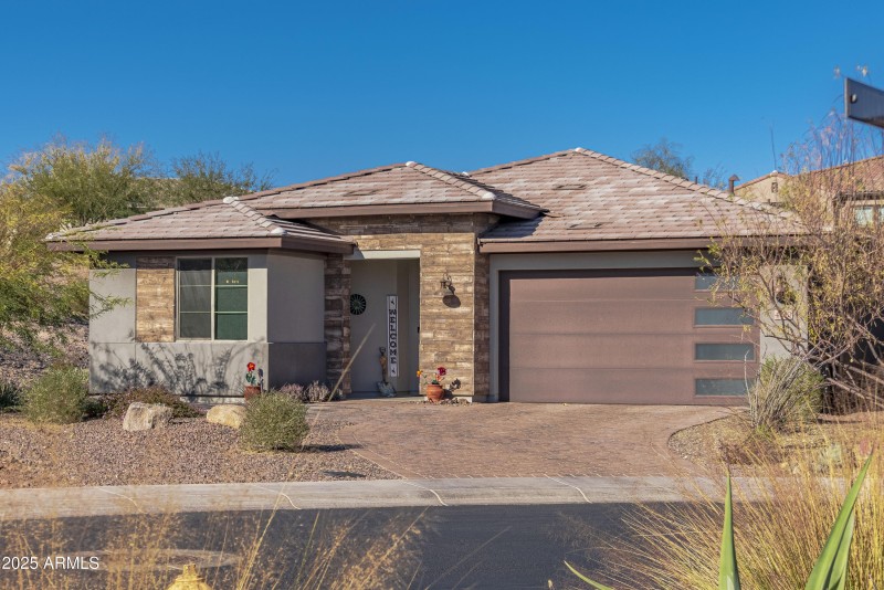 4610 Cactus Wren00036