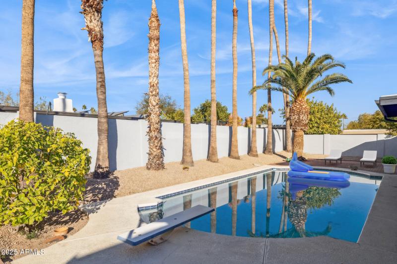 Backyard Pool with Palm Trees