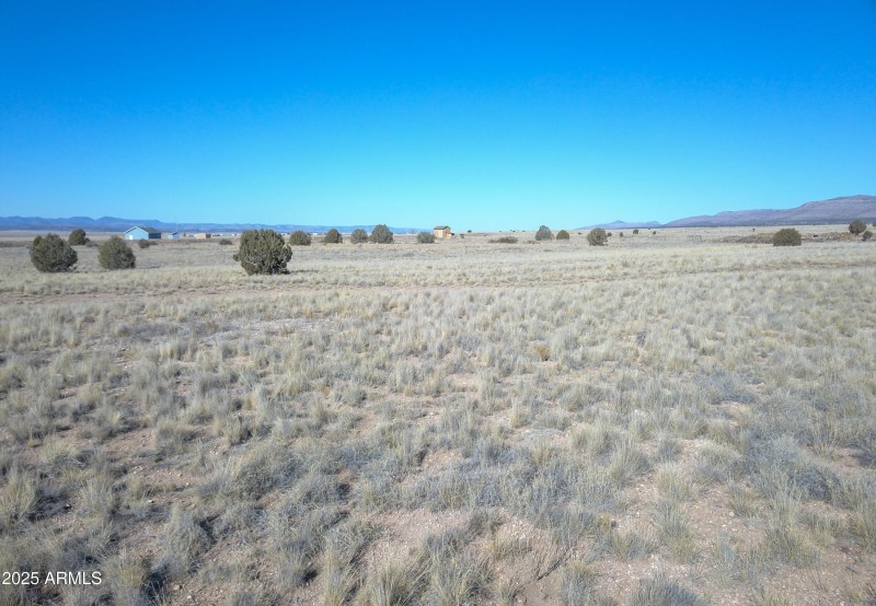DJI_0050