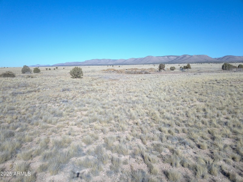 DJI_0069