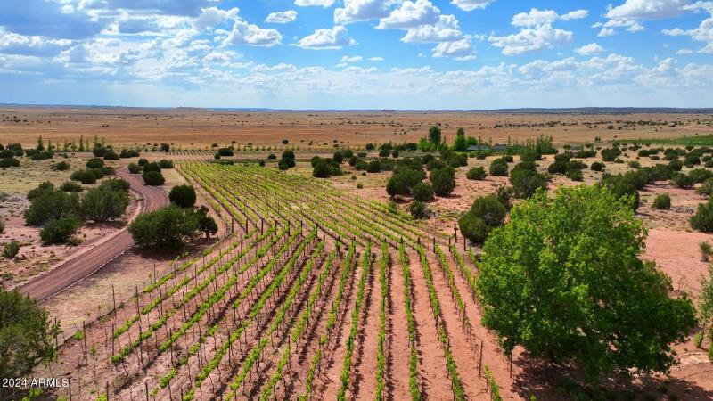 Red Rock Ranch Vineyards!