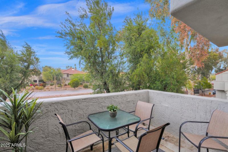 22-web-or-mls-P1058602