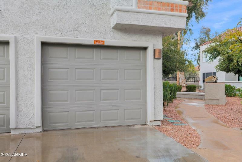 28-web-or-mls-P1058608