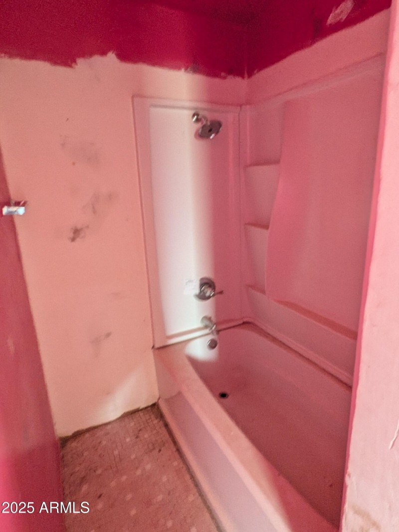 Master bath (tub/shower)