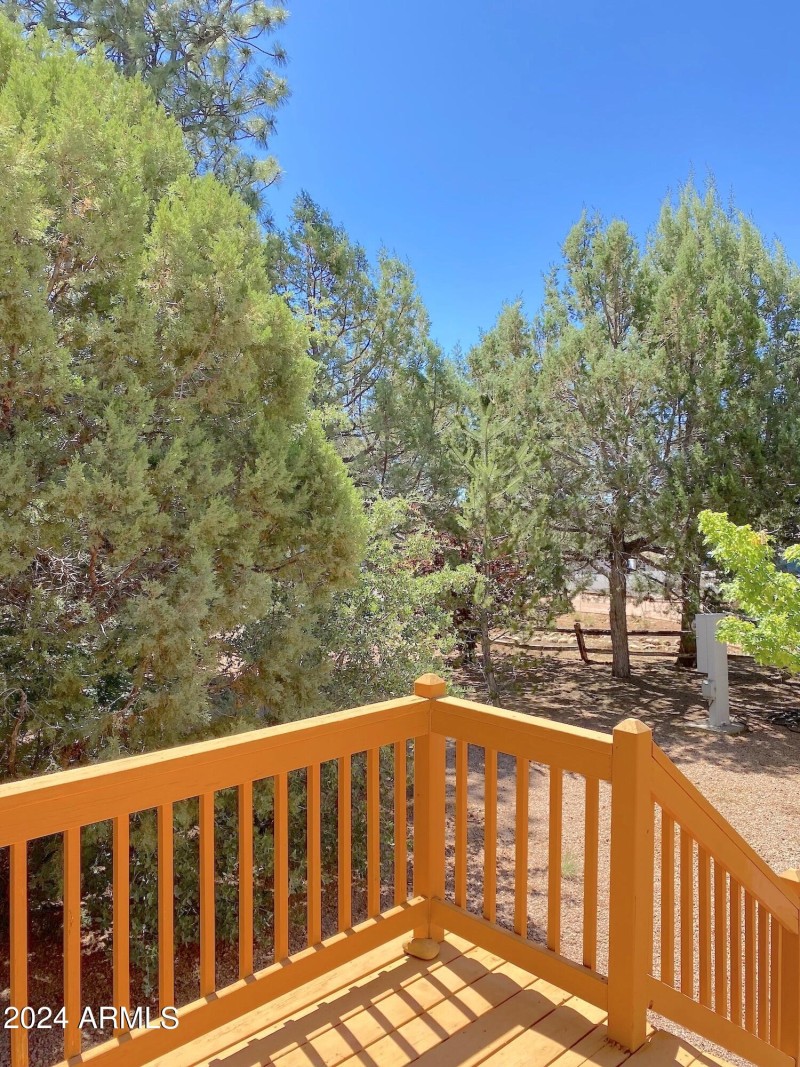 Beautiful wooded yard