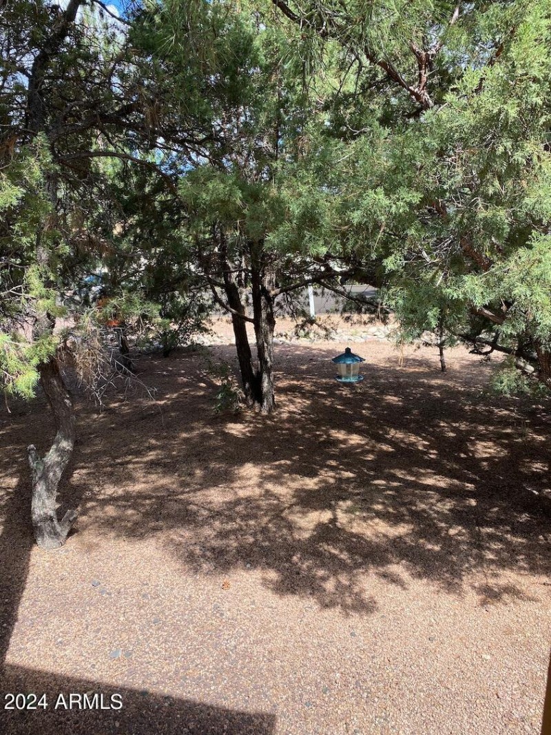 View from porch of front yard