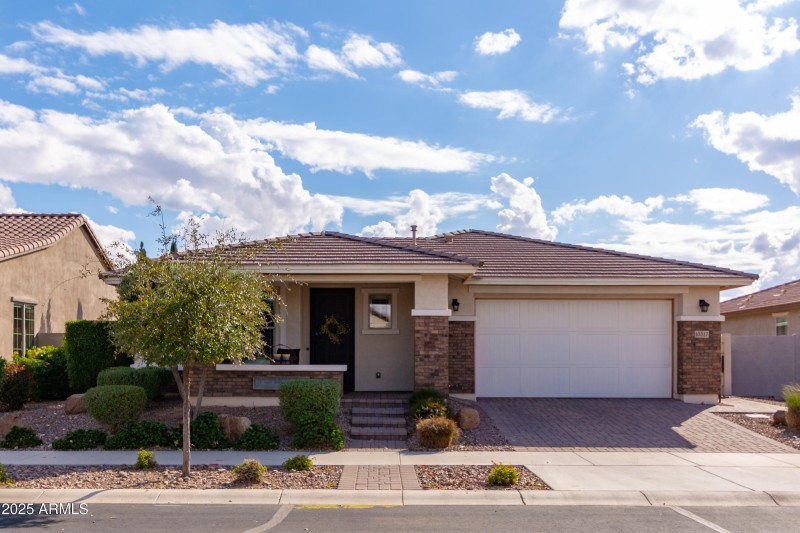 Tillman (26).jpg-FULL