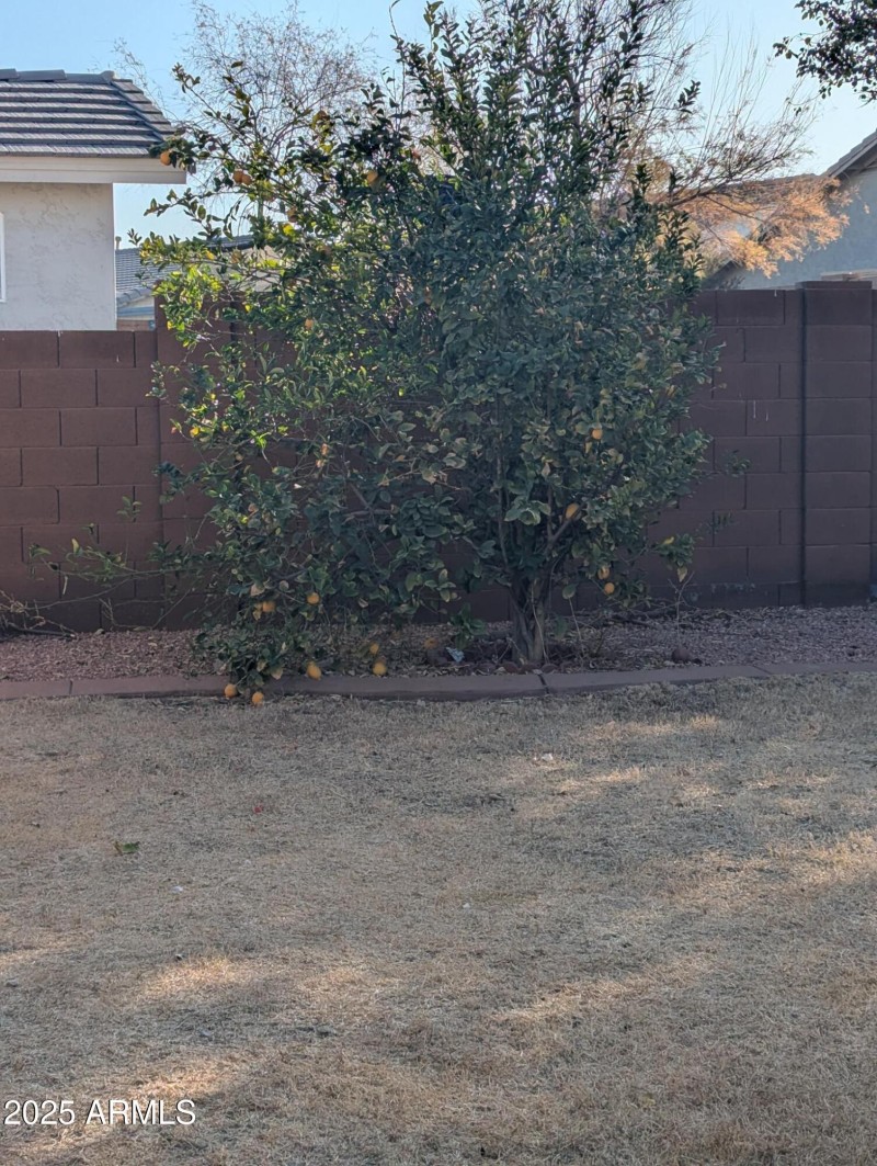 PXL_20250131_163111403