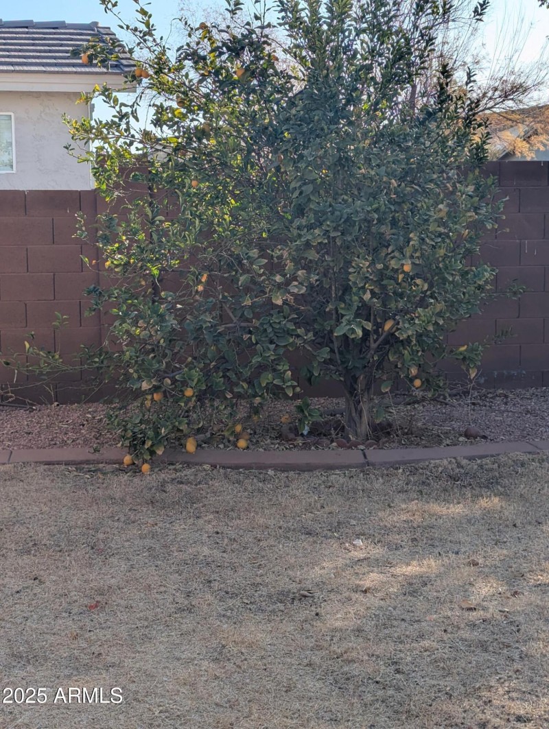 PXL_20250131_163123578