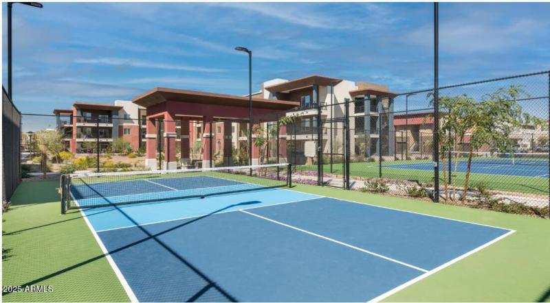 Pickleball Court