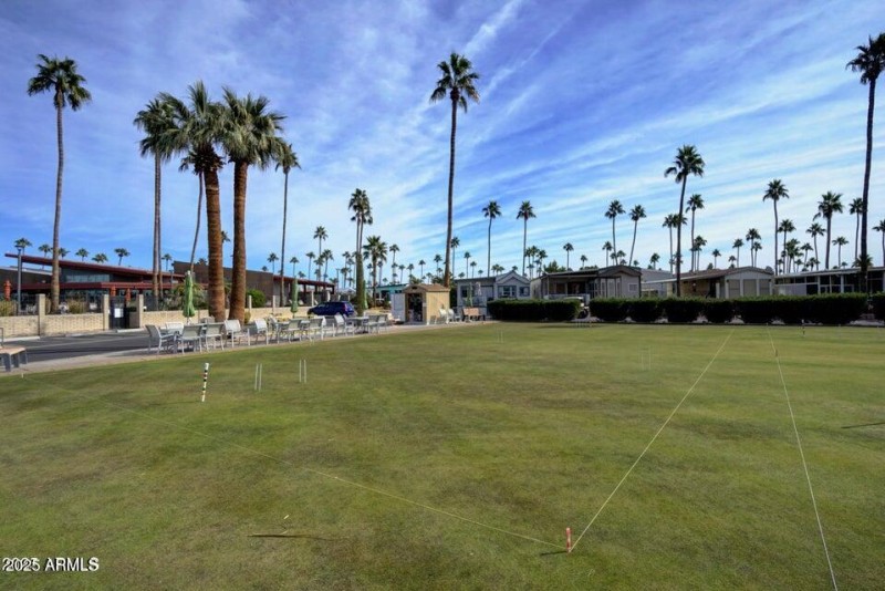 lawn