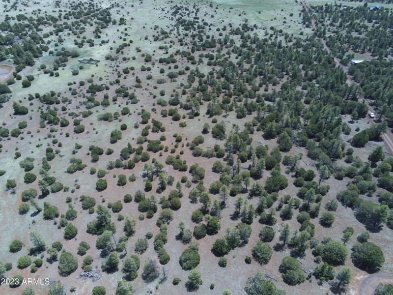 Ariel view 2