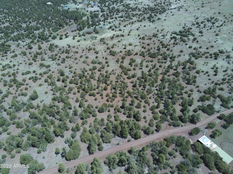 Ariel View 7