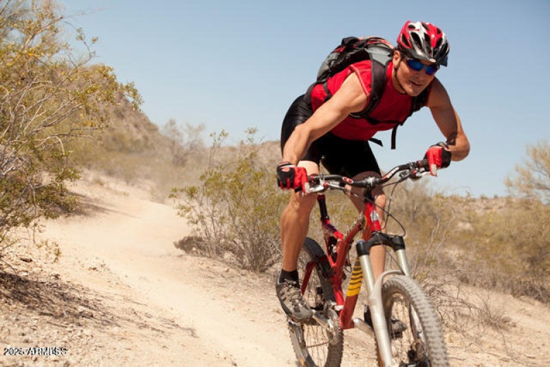 Mountain Trails for Biking & Hiking
