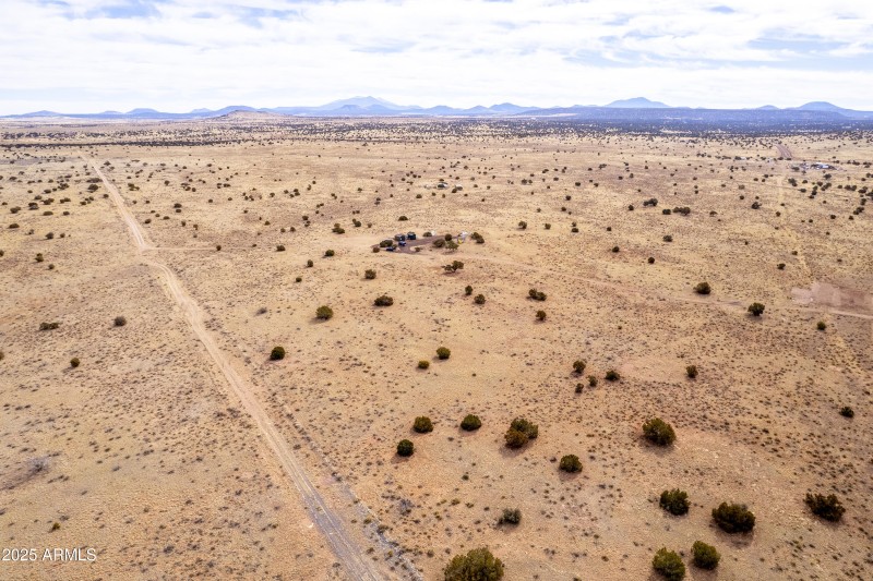 L Vies and Drone