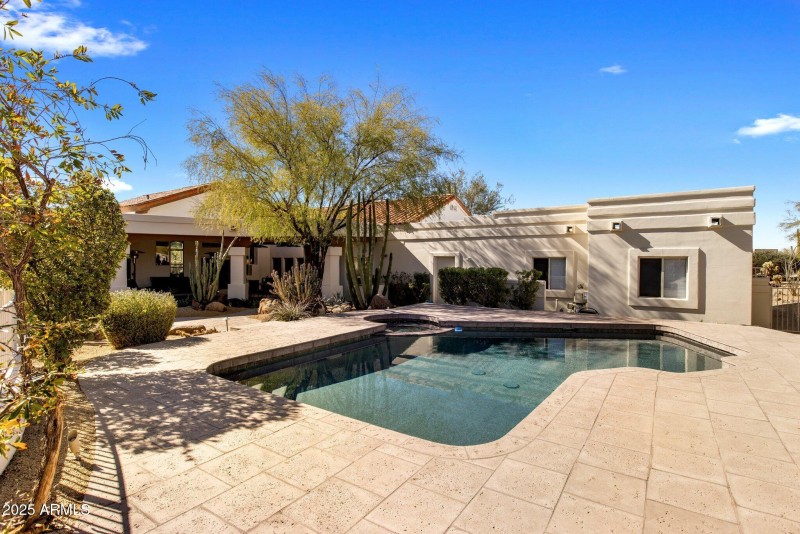 Backyard Pool and Spa 1
