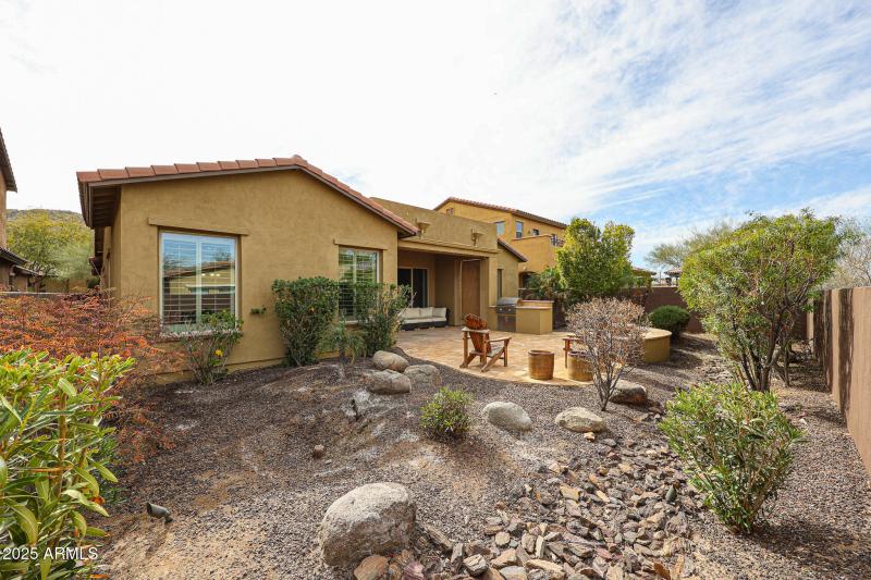 Beautiful Desert Lansdcaping