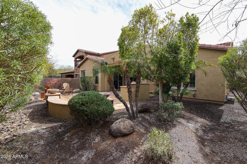 Lush Desert Landscaping