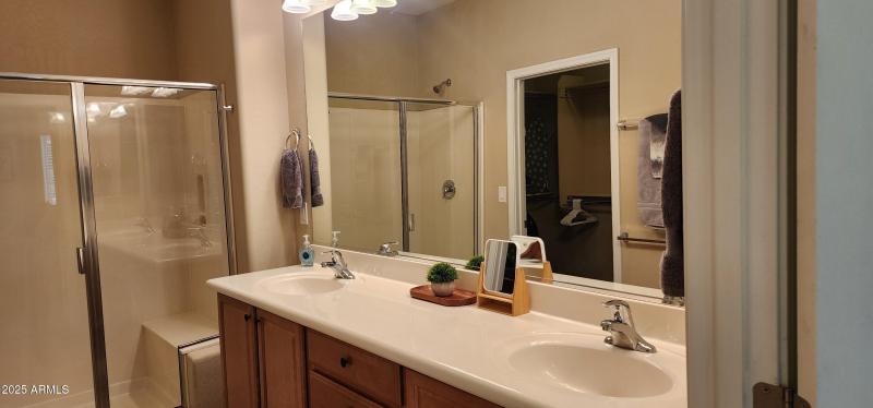 Via Del Sol master bath