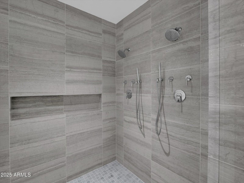 Primary Shower