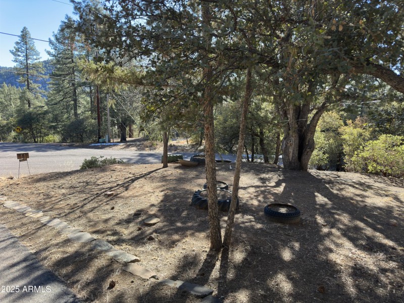 FRONT YARD ON WEST SIDE