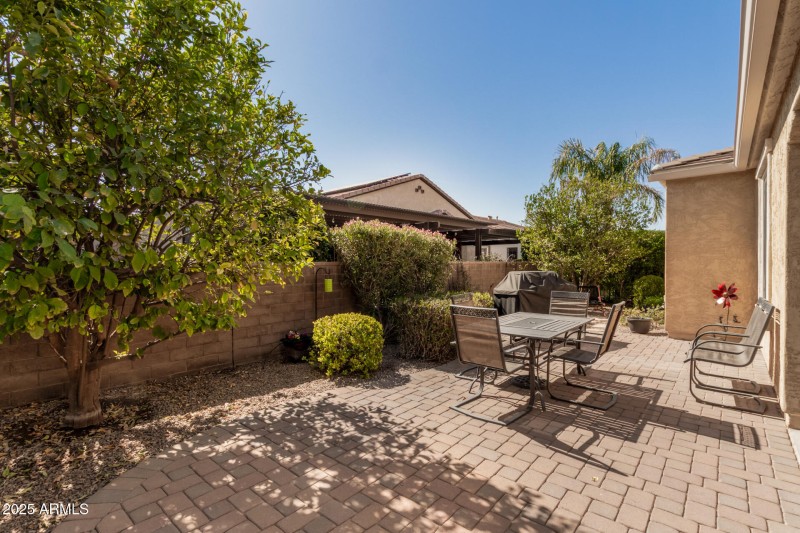 26 Backyard