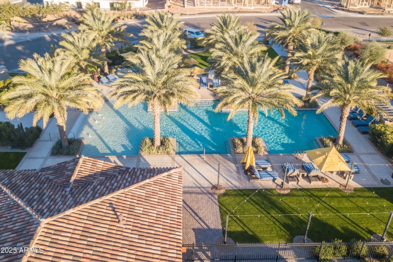 40 Adult Pool