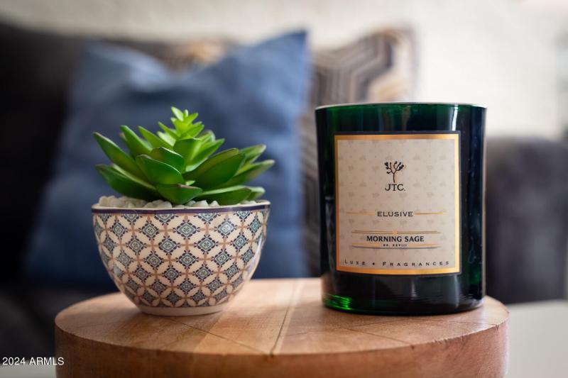 Scottsdale Condo BnB-26