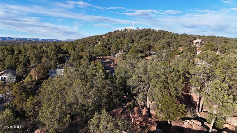 Area View