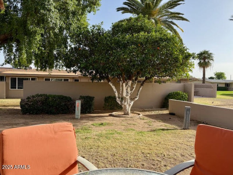 Patio view