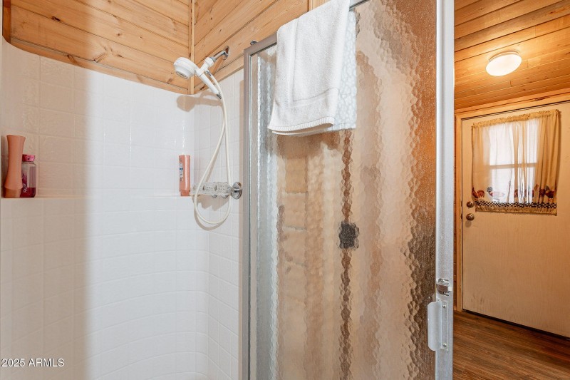 Hall bath shower