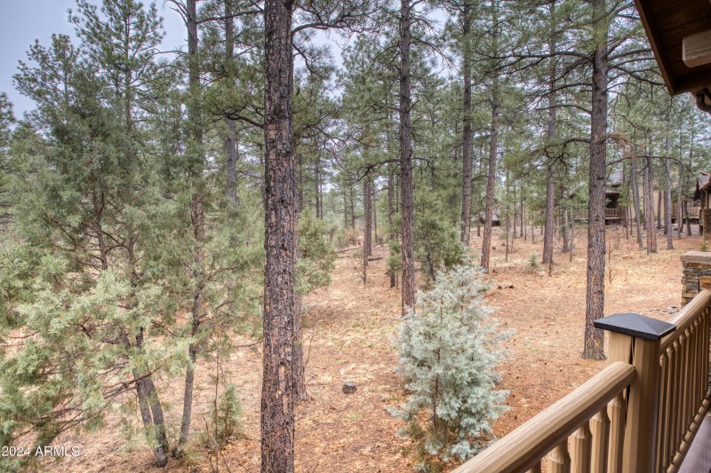 023_View from Back Deck